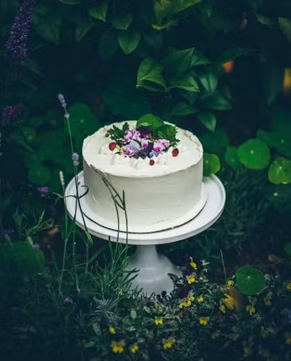 The Neopolitan Cake