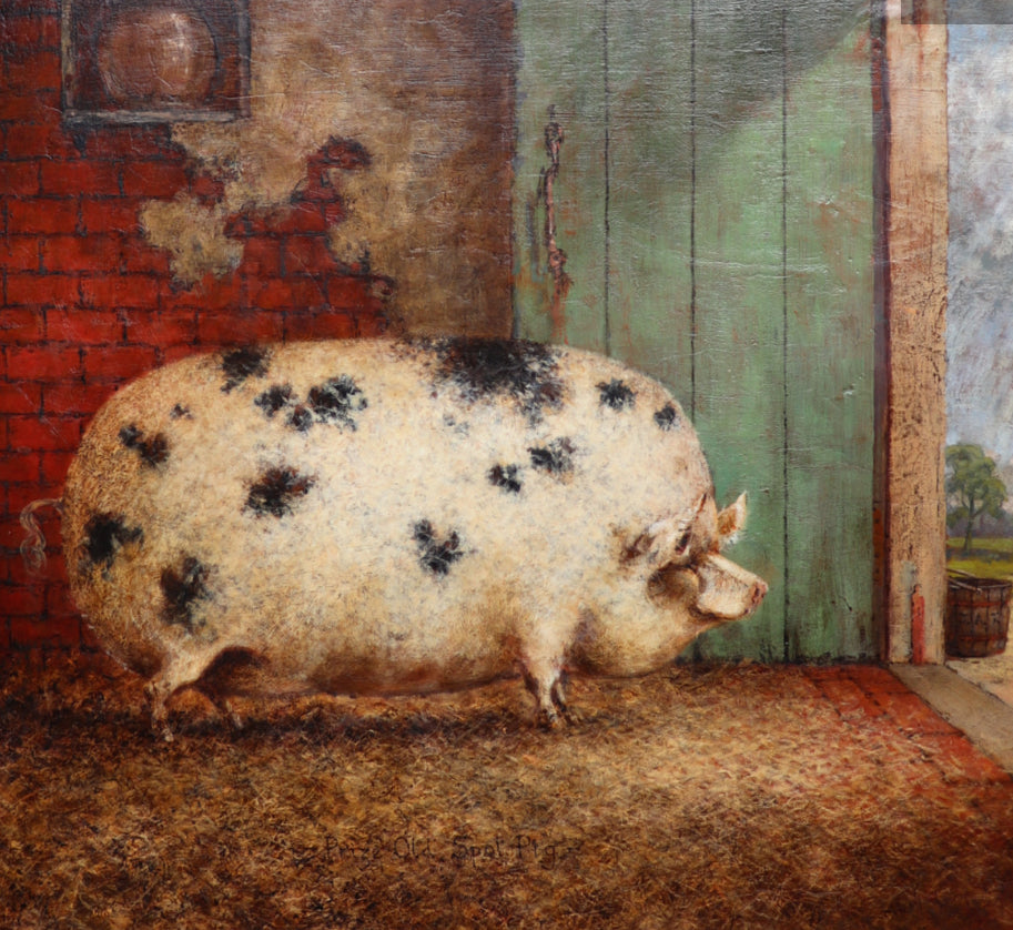 Hog